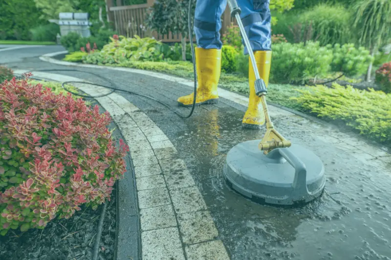 NDIS Gardening Cleaning Services Deception Bay